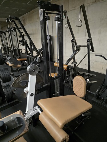 Watson leg extension machine - leg,