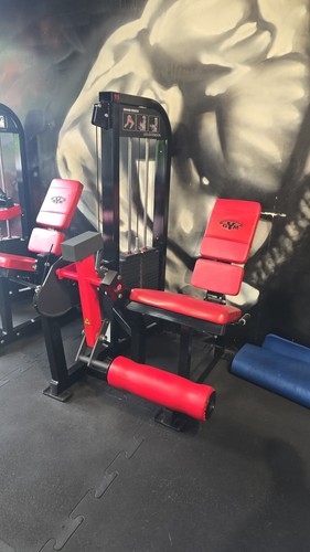 Leg extension machine plate - extension,