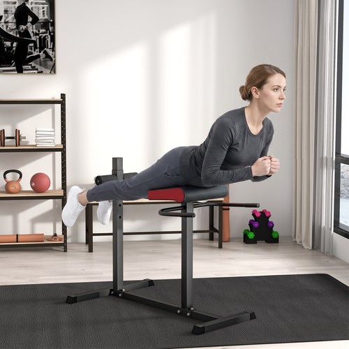 Back extension roman chair - back,